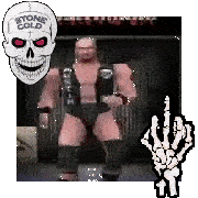 STONE COLD 64