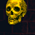 trophy 2