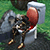 trophy 6