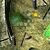 trophy 2
