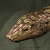 trophy 4