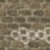 trophy 5