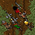 trophy 2